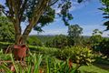 Property photo of 122 Elliot Road Clunes NSW 2480