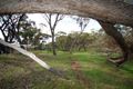 Property photo of 58 Pitt Street Pingelly WA 6308