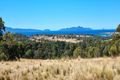 Property photo of 10923 Tasman Highway Little Swanport TAS 7190
