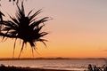 Property photo of 9/18 Eden Avenue Coolangatta QLD 4225