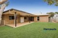 Property photo of 46 Overlea Street Nudgee QLD 4014