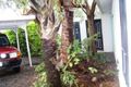 Property photo of 23 Shalom Close Cooya Beach QLD 4873