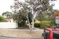 Property photo of 16 Alison Avenue Marion SA 5043