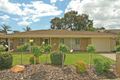 Property photo of 49 Hamilton Avenue Warradale SA 5046
