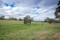 Property photo of 41 Cutevan Crescent Riddells Creek VIC 3431