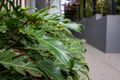 Property photo of 7/53 Gordon Street Greenslopes QLD 4120