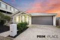 Property photo of 4 Larkhall Street Spring Mountain QLD 4300