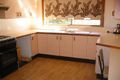 Property photo of 11 Collier Avenue Beverly Hills NSW 2209