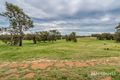 Property photo of 158 Guernsey Rise Chittering WA 6084