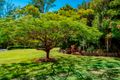 Property photo of 267 Coonowrin Road Glass House Mountains QLD 4518