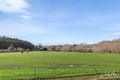 Property photo of 39 Elmers Road Dunorlan TAS 7304