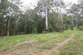 Property photo of 264 Ringtail Creek Road Ringtail Creek QLD 4565