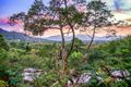 Property photo of 104A Hillview Crescent Whitfield QLD 4870