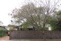 Property photo of 113 Eighth Avenue Joslin SA 5070