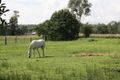 Property photo of 1 Connoles Road Postmans Ridge QLD 4352