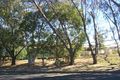 Property photo of 6 Willis Place Forbes NSW 2871
