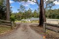 Property photo of 317 Cullendulla Drive Long Beach NSW 2536