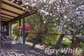 Property photo of 8 Lyne Road Cheltenham NSW 2119