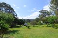 Property photo of 3 Mitchell Street Towamba NSW 2550