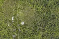 Property photo of 312 Repeater Station Road Springbrook QLD 4213