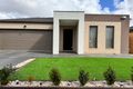 Property photo of 14 Lilyturf Drive Tarneit VIC 3029