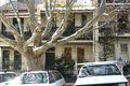 Property photo of 39 Liverpool Street Paddington NSW 2021