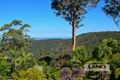 Property photo of 17 Orchis Drive Tamborine Mountain QLD 4272