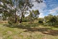 Property photo of LOT 123 Johnston Road Willyaroo SA 5255