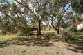 Property photo of LOT 123 Johnston Road Willyaroo SA 5255