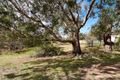 Property photo of LOT 123 Johnston Road Willyaroo SA 5255