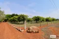 Property photo of 120 Tokmakoff Road Cossack NT 0850
