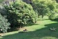 Property photo of 39 Timbs Street Ulladulla NSW 2539