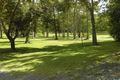 Property photo of 105 Pyms Road Hampden QLD 4741