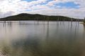 Property photo of 338 Rickards Road Kolonga QLD 4671