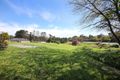 Property photo of 251 Warrandyte Road Park Orchards VIC 3114