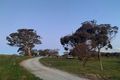 Property photo of 37 Mates Drive Royalla NSW 2620