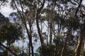 Property photo of 87 George Street Lorne VIC 3232