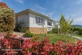Property photo of 25 Mawhera Avenue Sandy Bay TAS 7005