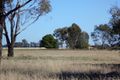 Property photo of 26 Waverly Road Berrigan NSW 2712