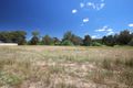 Property photo of 56 Woolshed Drive Thurgoona NSW 2640