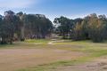 Property photo of 56 Woolshed Drive Thurgoona NSW 2640