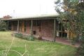 Property photo of 28 Venn Avenue Bordertown SA 5268