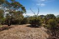 Property photo of 21 Parkes Street McCrae VIC 3938