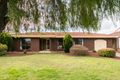 Property photo of 8 Geraldine Street Valley View SA 5093
