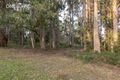 Property photo of 122 Tippetts Road Mount Hicks TAS 7325