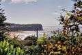 Property photo of 31 Cook Terrace Mona Vale NSW 2103