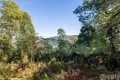 Property photo of 9 Machendry Road Don Valley VIC 3139