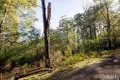 Property photo of 9 Machendry Road Don Valley VIC 3139