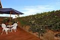 Property photo of 8/13 Kentia Crescent Banora Point NSW 2486
