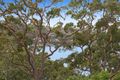Property photo of 19 Willis Road Castle Cove NSW 2069